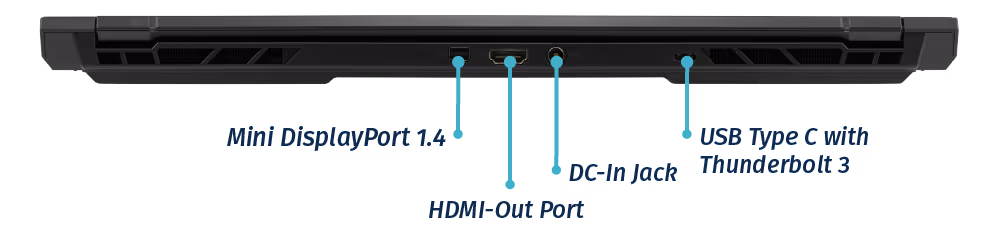 Back Ports