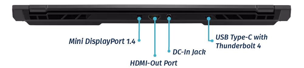 Back Ports