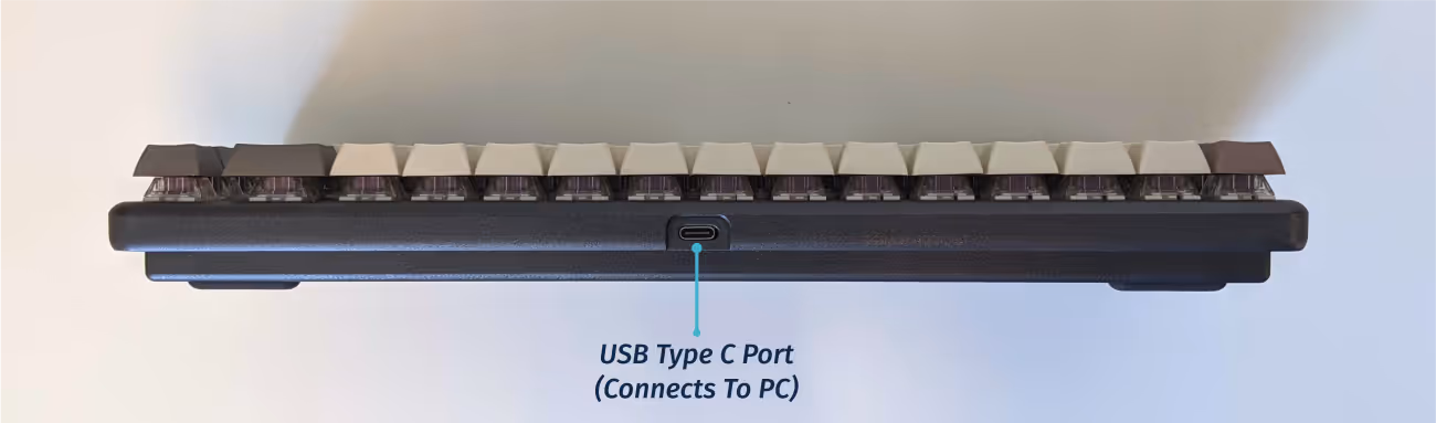 Back Ports