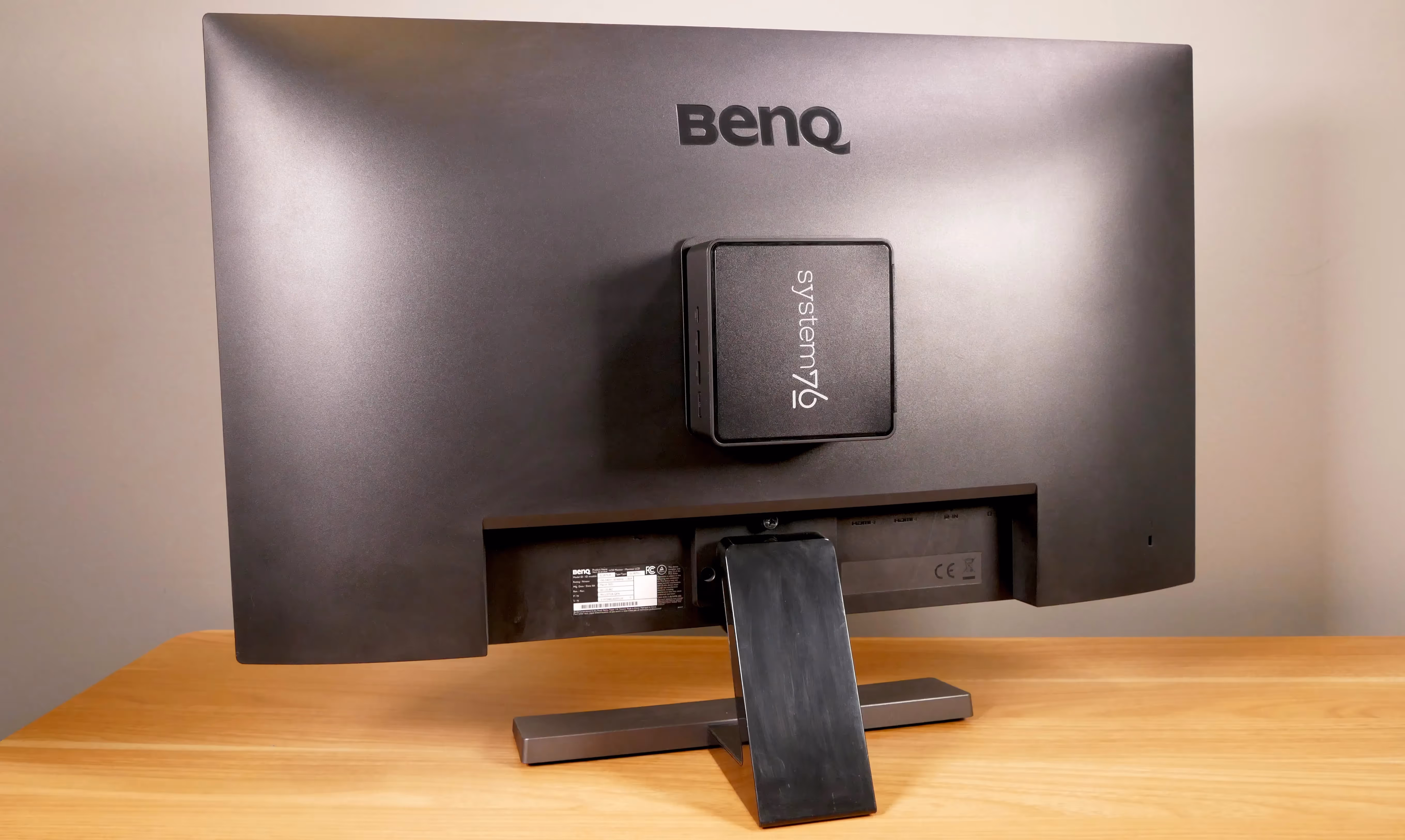 Meerkat on display